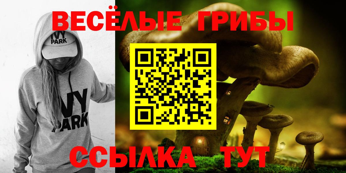 Таганрог  Галлюциногенные грибы Magic Shrooms  Галлюциногенные грибы мицелий  Вход с VPN 
