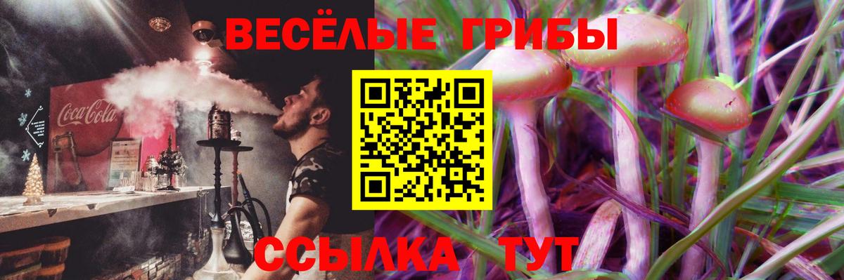 Галлюциногенные грибы Psilocybine cubensis Таганрог